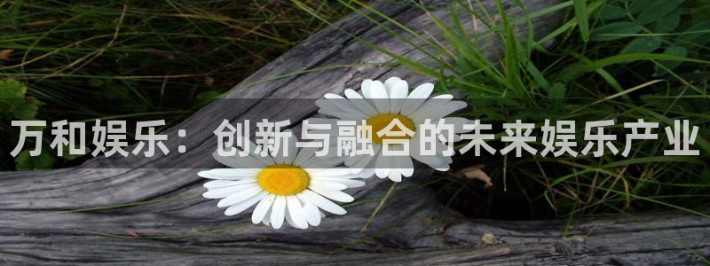太阳成集团tyc9728：万和娱乐：创新与融合的未来娱乐产业