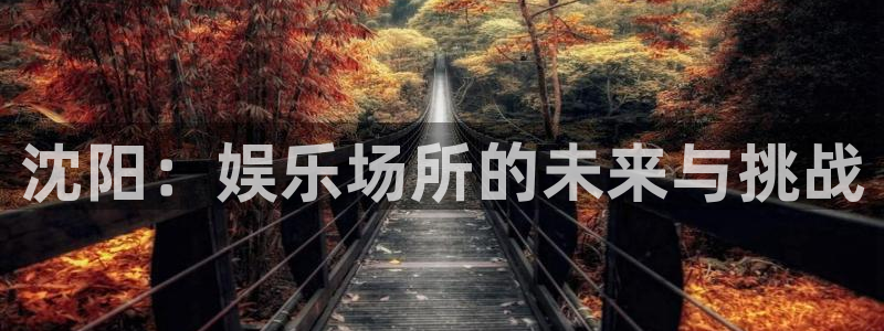 太阳成集团tyc9728：沈阳：娱乐场所的未来与挑战
