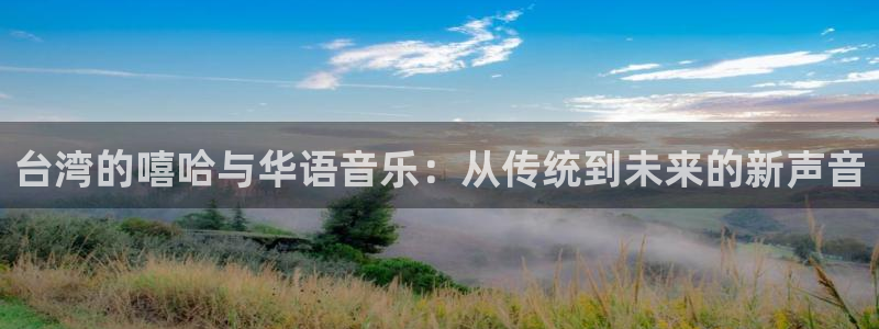 太阳成集团tyc9728：台湾的嘻哈与华语音乐：从传统到未来的新声音